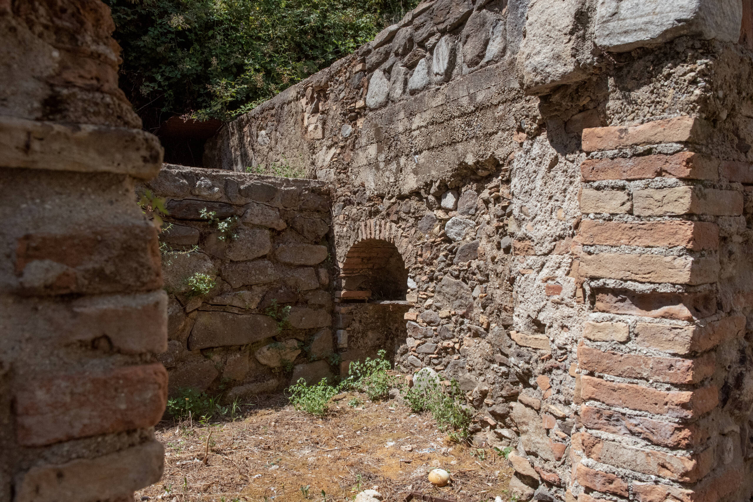 DSC_6880 copia